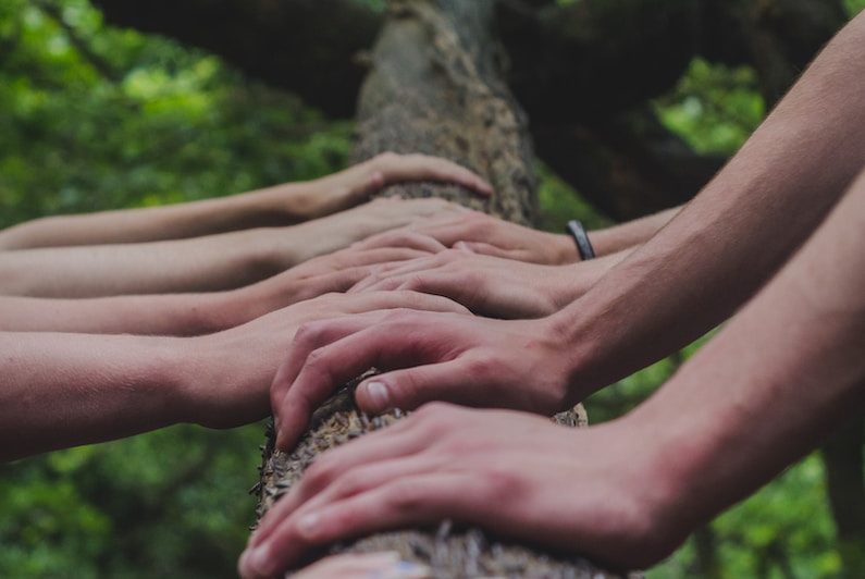 a group of people holding hands on top of a tree